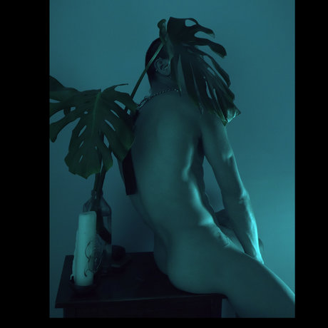 Foto di nudo di fuga di OnlyFans di Neonwarrior9   Telegram Better Talk