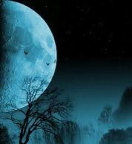 Nightgod772