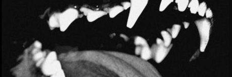 Foto di nudo di fuga di OnlyFans di Diabloodon