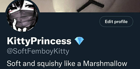 Softfemboykitty