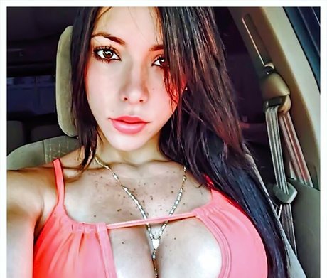 Vanebp19