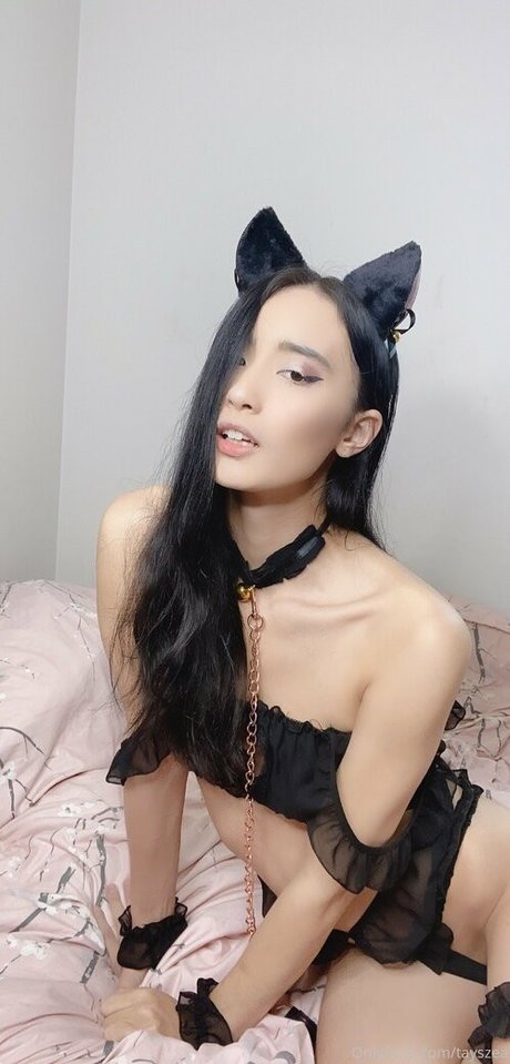 Tayszea