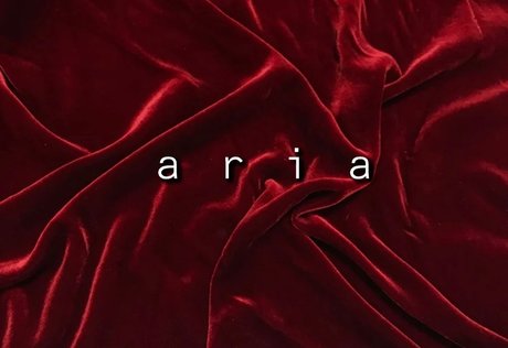 Foto di nudo di fuga di OnlyFans di Aria 