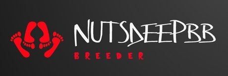 Foto di nudo di fuga di OnlyFans di Nutsdeepbb