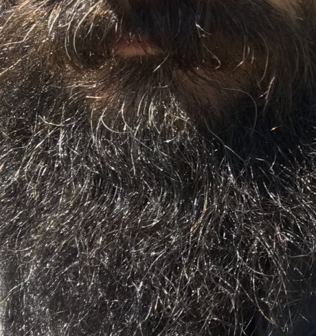 Foto di nudo di fuga di OnlyFans di 306hardluck