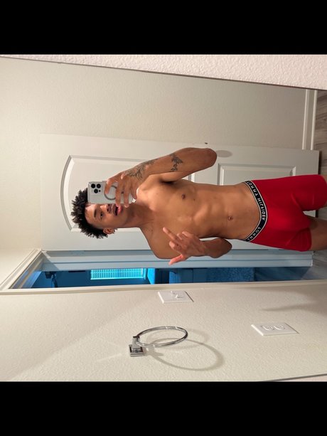 Apex Tay