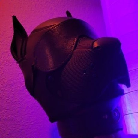 Foto di nudo di fuga di OnlyFans di Onestretchypup