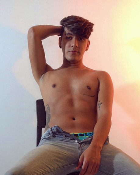 Foto di nudo di fuga di OnlyFans di Stiro Gay