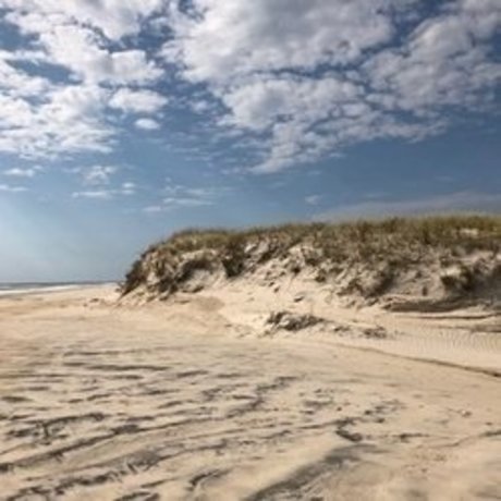 Foto di nudo di fuga di OnlyFans di Beach Bum 102019