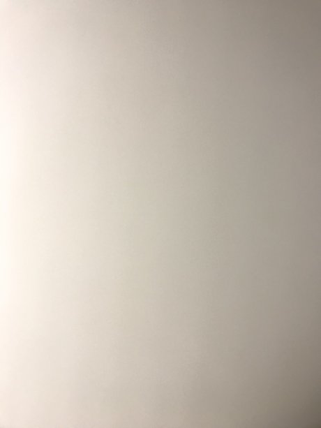 Foto di nudo di fuga di OnlyFans di Blossom
