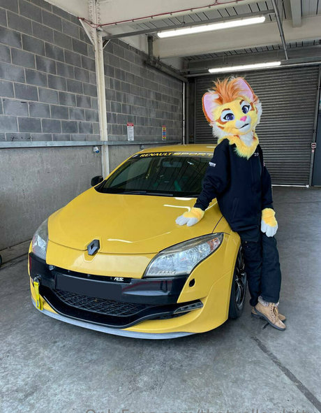 Thatyellowkitty