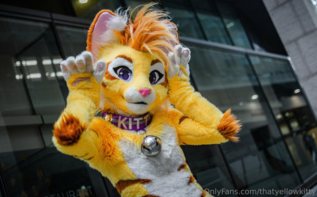 Thatyellowkitty