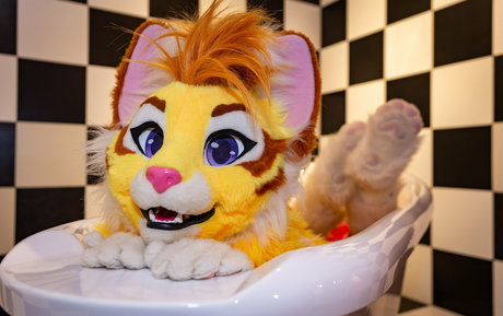 Thatyellowkitty