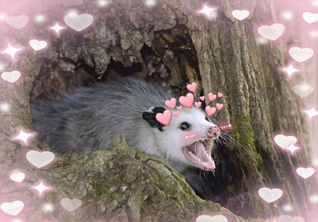 Dioxamour