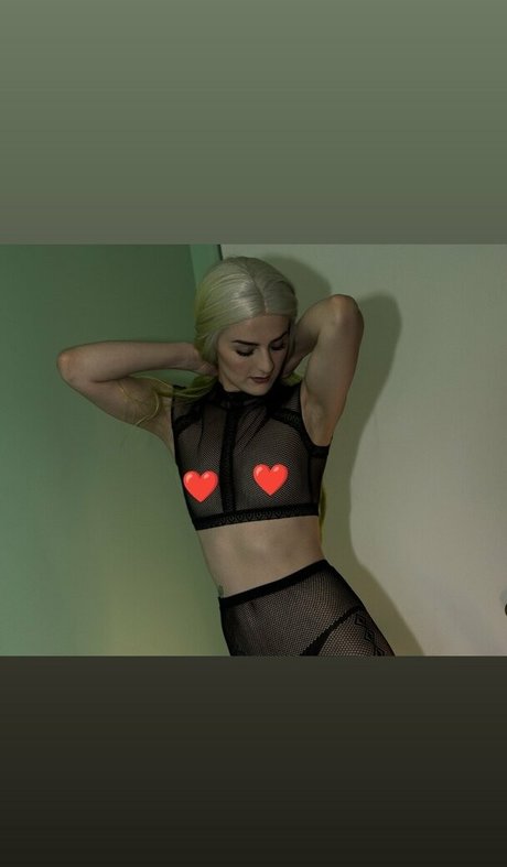 Kittykassfree