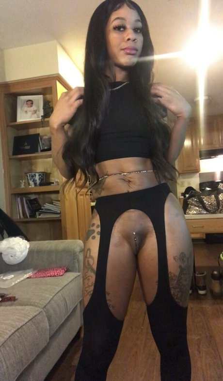 Pinkkissesz