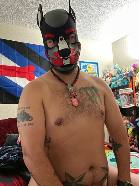 Foto di nudo di fuga di OnlyFans di Pup Dant
