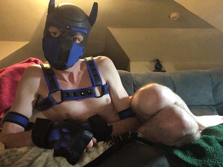 Foto di nudo di fuga di OnlyFans di Pup Scrote