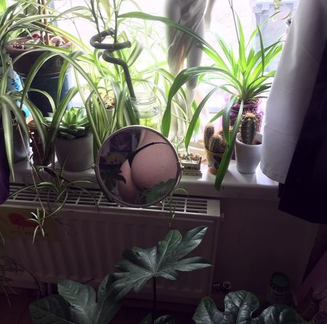 Foto di nudo di fuga di OnlyFans di Thedevilwearsdrama