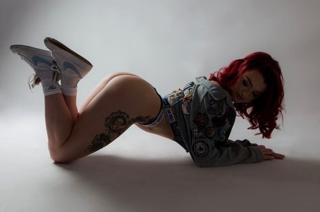 Darcy Babex
