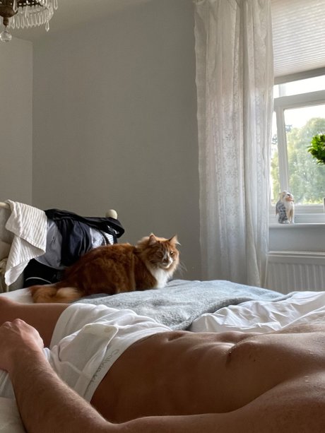 Foto di nudo di fuga di OnlyFans di Regico