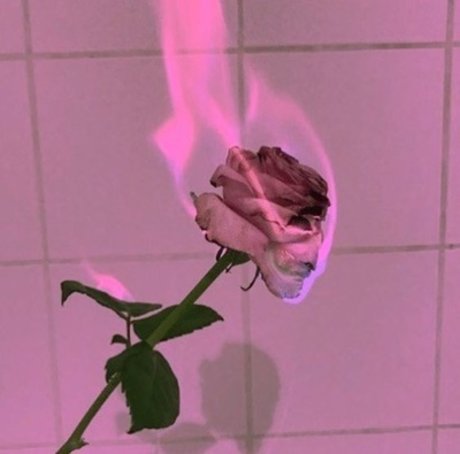 Foto di nudo di fuga di OnlyFans di Emilia Rose