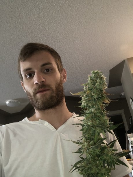 Foto di nudo di fuga di OnlyFans di Rollin