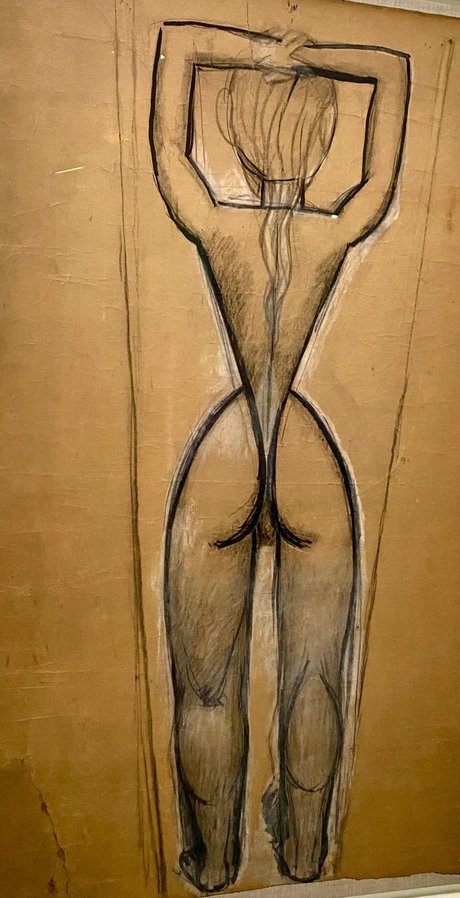 Foto di nudo di fuga di OnlyFans di Vanessa