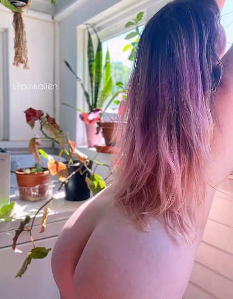 Lilpinkalien