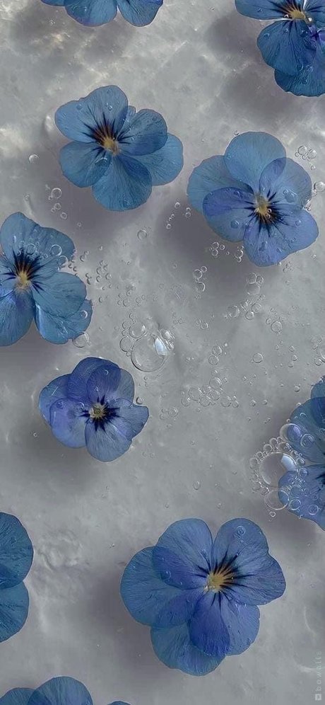 Foto di nudo di fuga di OnlyFans di Sassysapphire