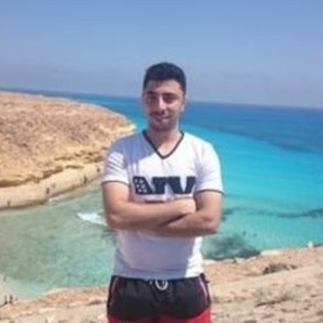 Foto di nudo di fuga di OnlyFans di Eng Sabry