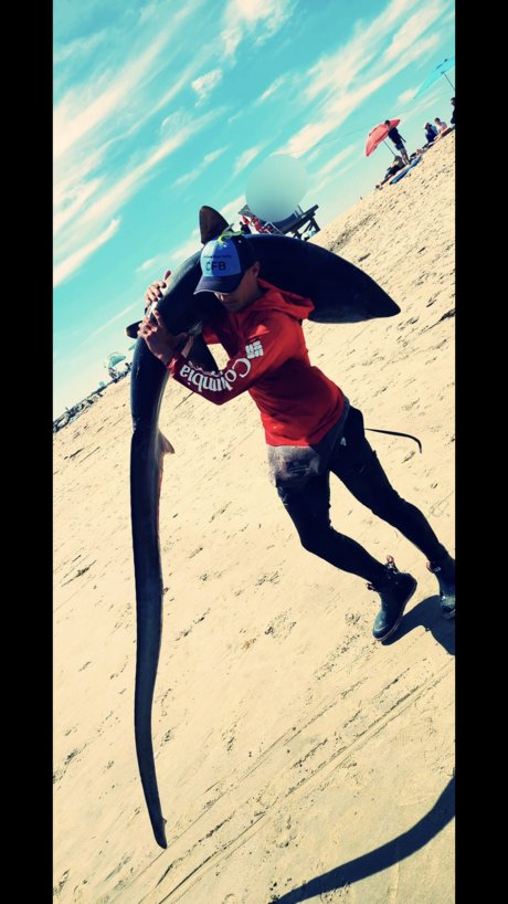 Thesharksniper