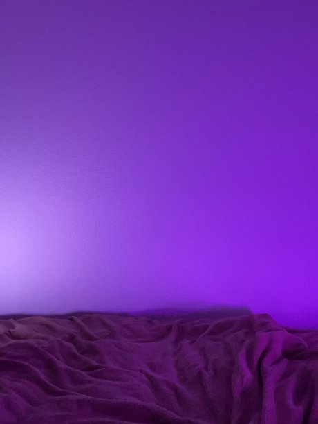 Foto di nudo di fuga di OnlyFans di Thelittleprince