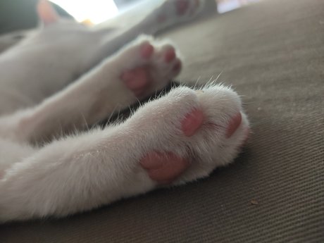 Foto di nudo di fuga di OnlyFans di Ana Oliveros