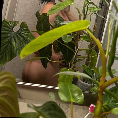 Foto di nudo di fuga di OnlyFans di Plantfeetpics