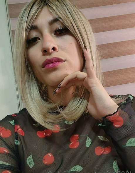 Catina500k
