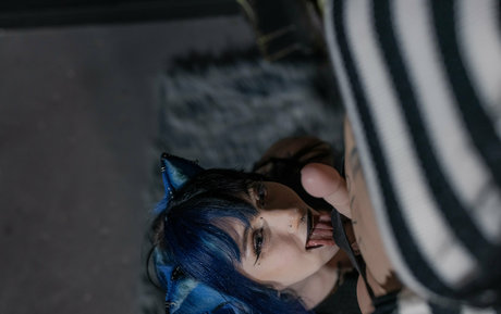 Pixiemstyfree