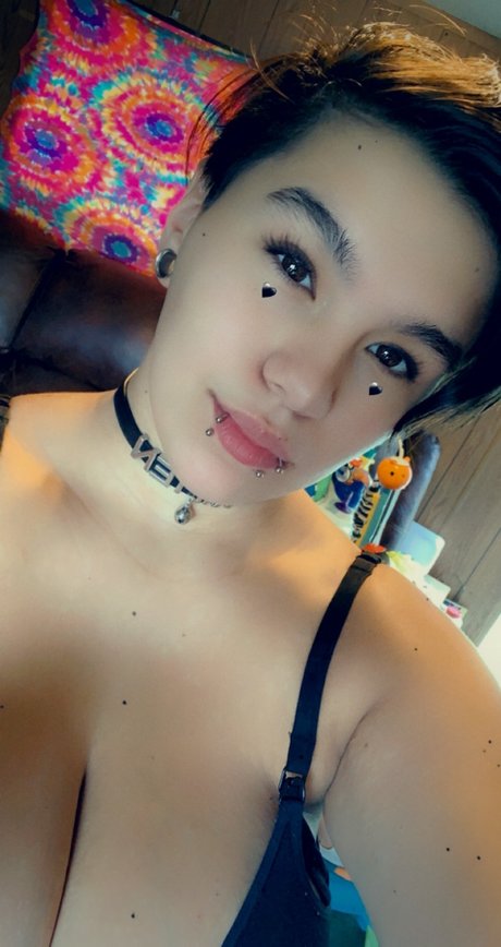 Foto di nudo di fuga di OnlyFans di Kitten