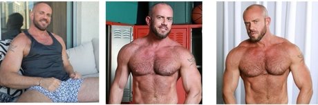 Matt Stevens
