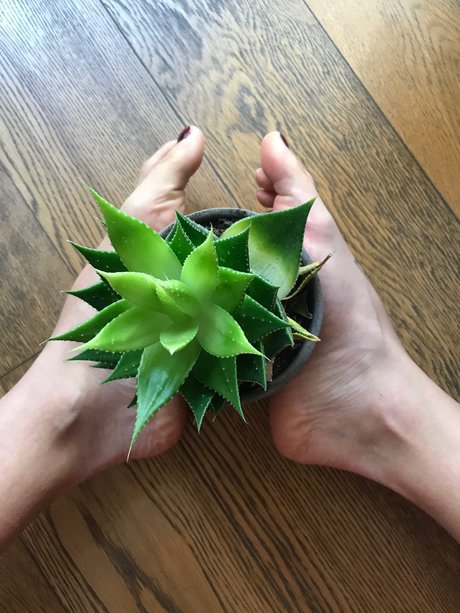 Foto di nudo di fuga di OnlyFans di Howtosqurt