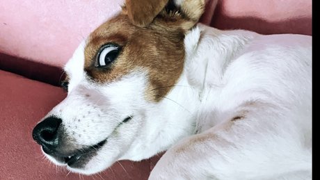 Foto di nudo di fuga di OnlyFans di Winyl