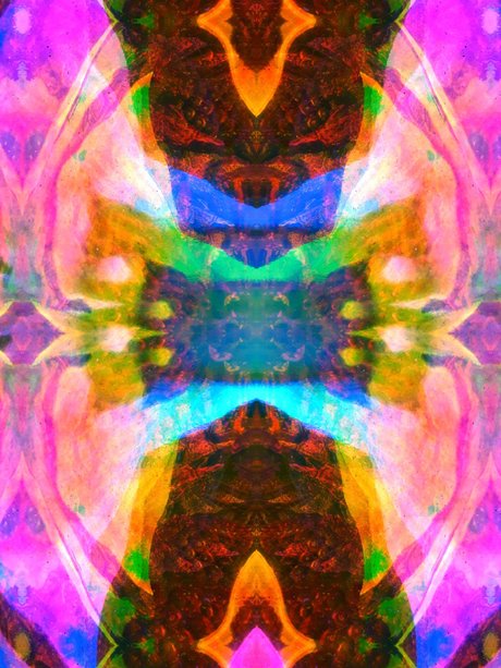 Rainbowshort