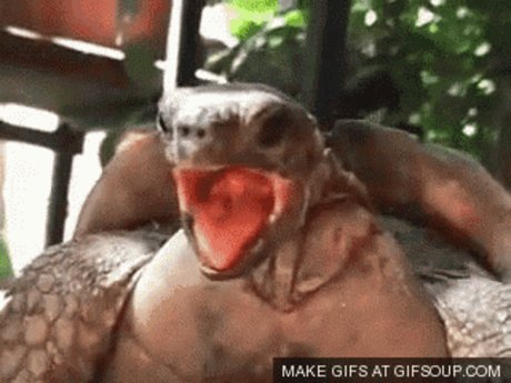 Foto di nudo di fuga di OnlyFans di Chupacabra