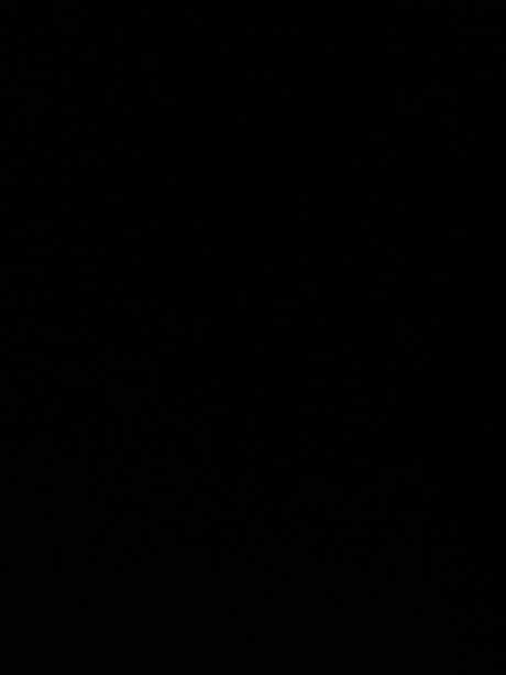 Foto di nudo di fuga di OnlyFans di User202498