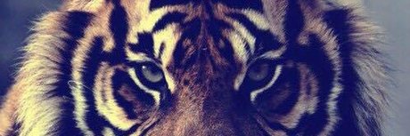 Foto di nudo di fuga di OnlyFans di Tiger Papi 