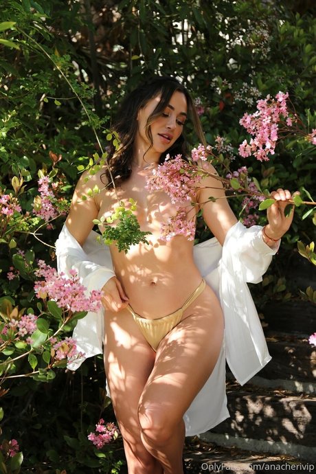 Ana Cheri