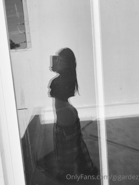 Foto di nudo di fuga di OnlyFans di Gabygardez