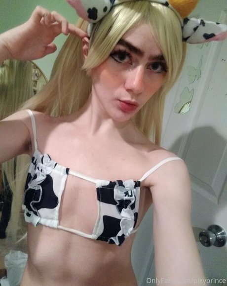 Foto di nudo di fuga di OnlyFans di Pixyprince