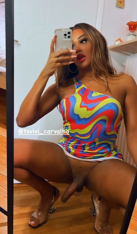 Ts Vivi Carvalho