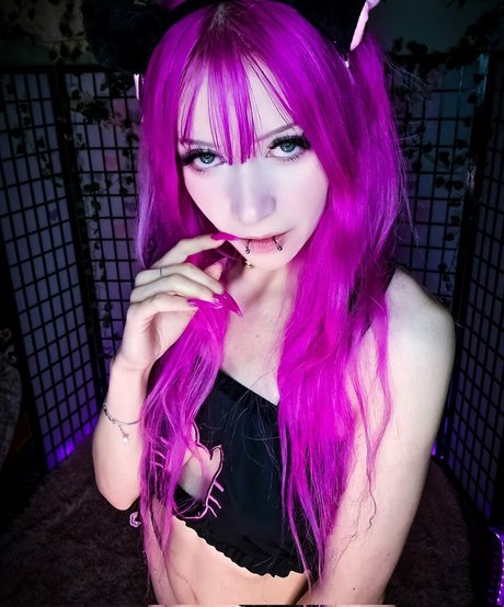 Lily Angelicat